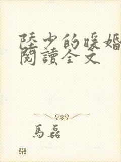 陆少的暖婚新妻阅读全文