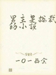 男主是总裁姓盛的小说