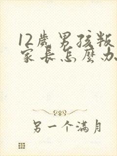 12岁男孩叛逆家长怎么办