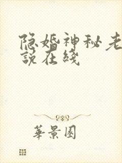 隐婚神秘老公小说在线