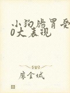 小狗肠胃受凉10大表现