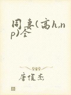 同妻(高h,np)全