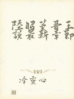 陆昭菱晋王的小说最新章节