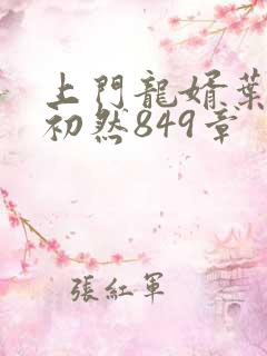 上门龙婿叶辰萧初然849章