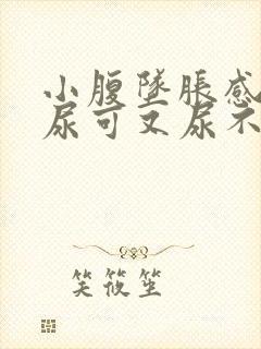 小腹坠胀感觉想尿可又尿不多吃什么药