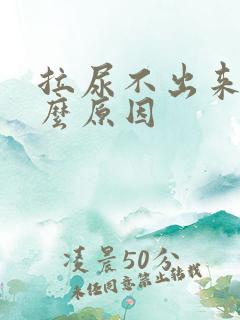 拉尿不出来是什么原因