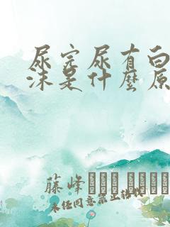 尿完尿有白色泡沫是什么原因