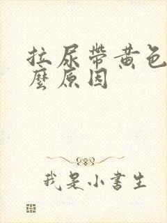 拉尿带黄色是什么原因