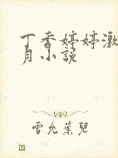 丁香婷婷激情五月小说