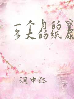 一个月的宝宝穿多大的纸尿裤