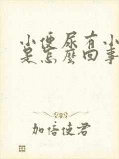 小便尿有小泡泡是怎么回事