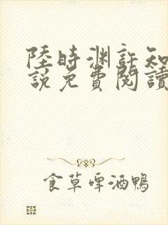 陆时渊许知夏小说免费阅读最新章节