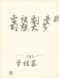 电视剧 爱我就别想太多