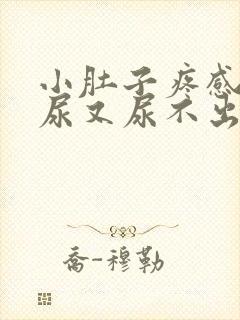 小肚子疼感觉有尿又尿不出来是什么原因