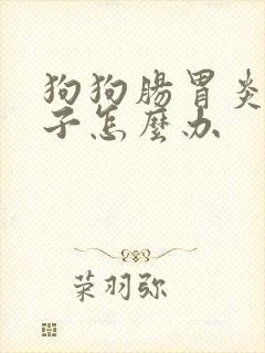 狗狗肠胃炎拉肚子怎么办