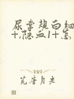 尿常规白细胞3+,隐血1+怎么回事