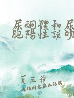 尿酮体和尿白细胞阳性说明什么问题