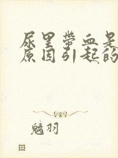 尿里带血是什么原因引起的