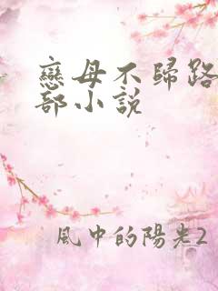 恋母不归路第二部小说