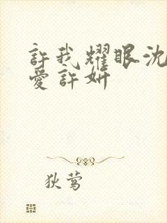 许我耀眼沈皓明爱许妍