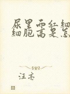 尿里面红细胞白细胞高是怎么回事