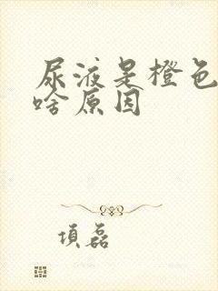 尿液是橙色的是啥原因