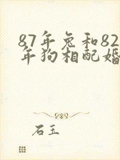 87年兔和82年狗相配婚姻如何