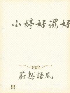 小婷好湿好紧太