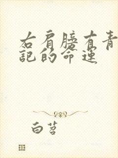 右肩膀有青色胎记的命运