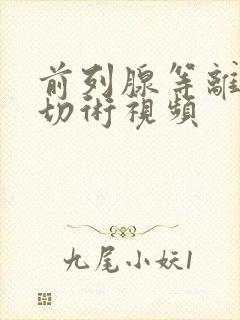 前列腺等离子电切术视频