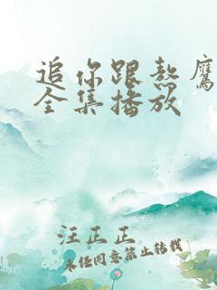 追你跟熬鹰短剧全集播放