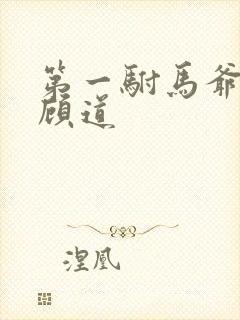 第一驸马爷短剧顾道