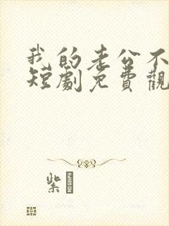 我的老公不简单短剧免费观看