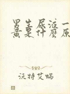 男生尿液一直发黄是什么原因