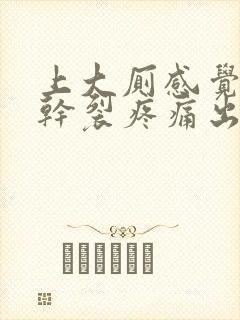 上大厕感觉肛门干裂疼痛出现出血