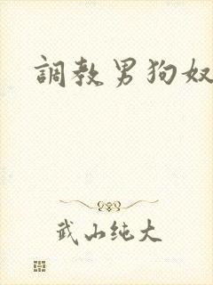 调教男狗奴微博