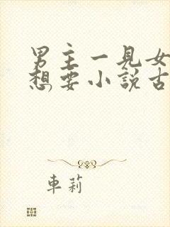 男主一见女主就想要小说古言