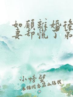 如愿离婚后,前妻却慌了第二季