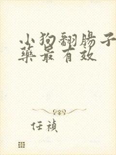 小狗翻肠子吃啥药最有效