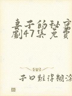 妻子的秘密电视剧47集免费