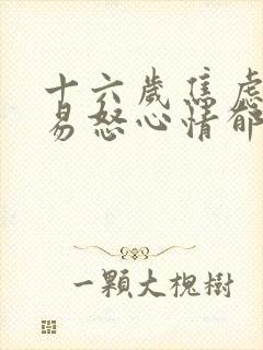 十六岁焦虑烦躁易怒心情郁闷