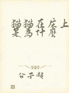 猫猫在床上拉尿是为什么