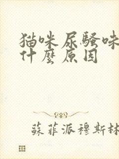 猫咪尿骚味重是什么原因