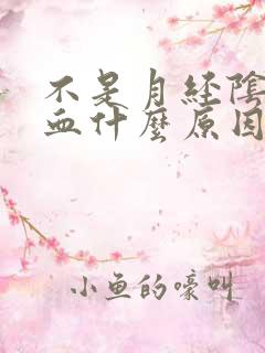 不是月经阴道出血什么原因