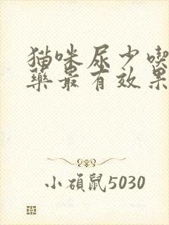 猫咪尿少吃什么药最有效果呢