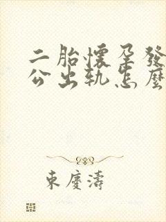 二胎怀孕发现老公出轨怎么办