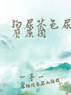 狗尿茶色尿是什么原因