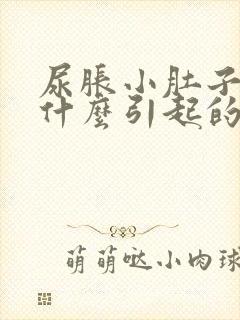 尿胀小肚子疼是什么引起的