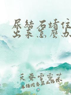 尿结石堵住尿不出来怎么办