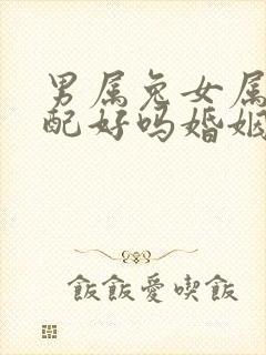 男属兔女属马婚配好吗婚姻如何